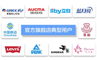 臺(tái)州飛速網(wǎng)絡(luò) 一站式網(wǎng)站建設(shè)、淘寶代運(yùn)營(yíng)與優(yōu)化服務(wù)專家